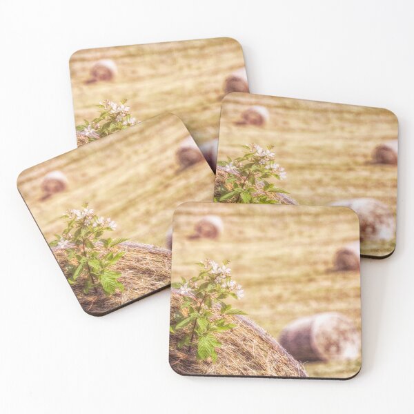 Item preview, Spring Hay designed and sold by Jim Love.