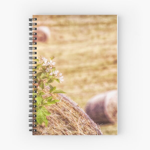 Item preview, Spring Hay designed and sold by Jim Love.