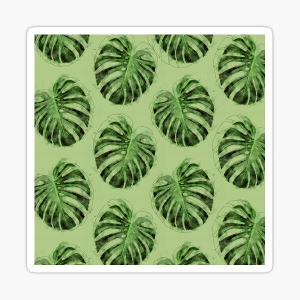 Monstera Leaves Sticker