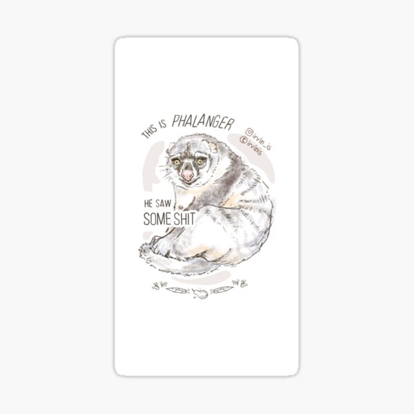 This is Phalanger Sticker