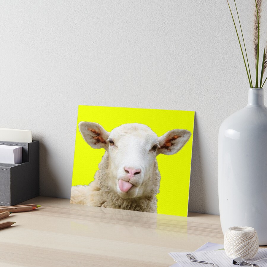 Funny sheep Funny sheep