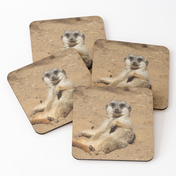 Item preview, Meerkat 045 designed and sold by JAMFoto.