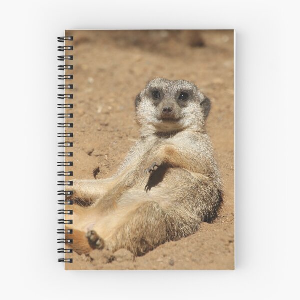 Item preview, Meerkat 045 designed and sold by JAMFoto.