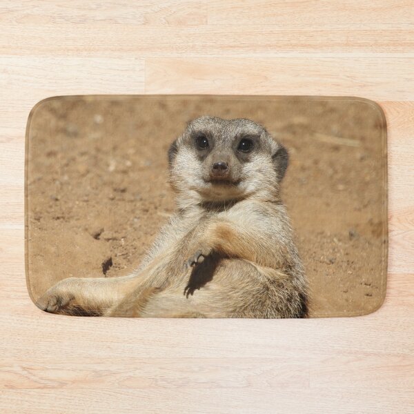 Item preview, Meerkat 045 designed and sold by JAMFoto.