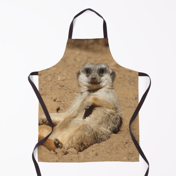Item preview, Meerkat 045 designed and sold by JAMFoto.