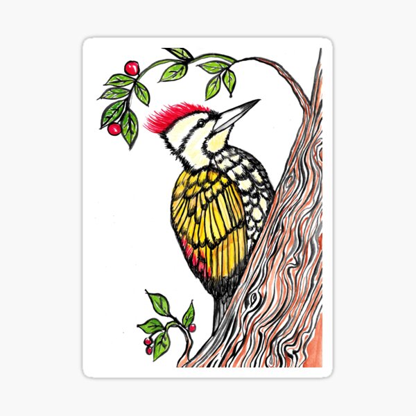 Woodpecker Sticker