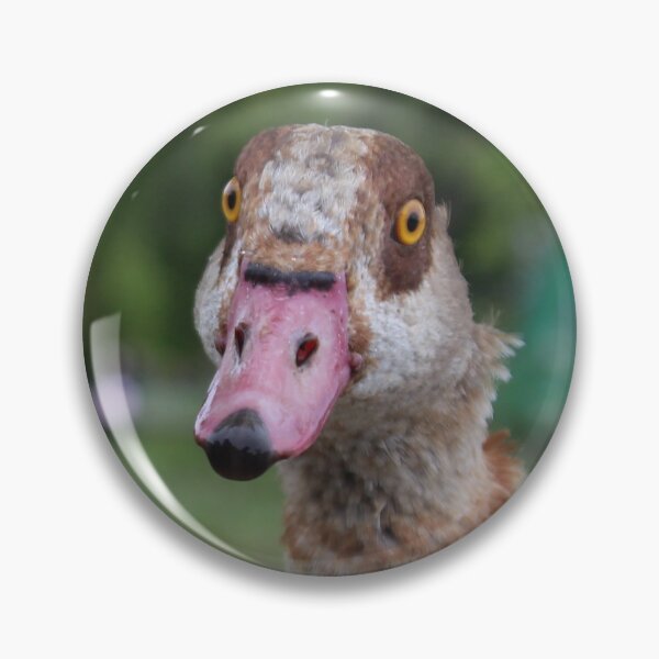 Item preview, Egyptian Goose Photograph Lake  designed and sold by laurengeorgiart.