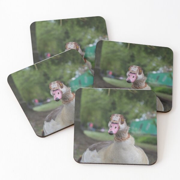 Item preview, Egyptian Goose Photograph Lake  designed and sold by laurengeorgiart.