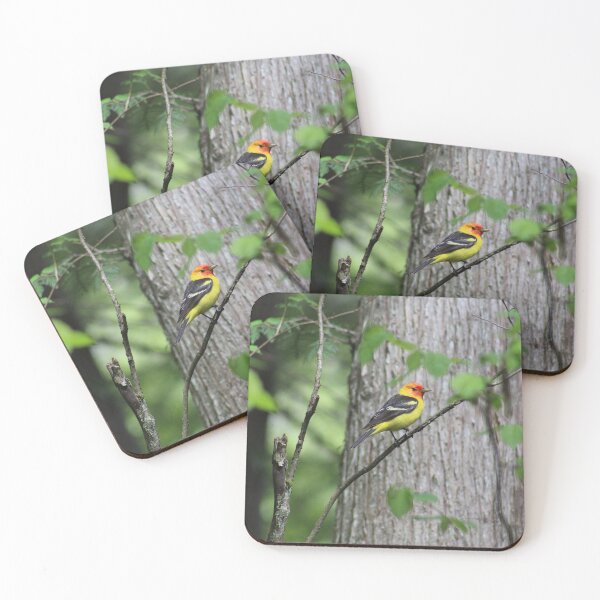 Item preview, Western tanager designed and sold by BrooklenR.