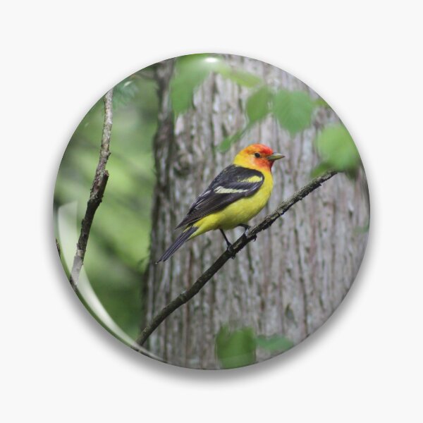 Item preview, Western tanager designed and sold by BrooklenR.