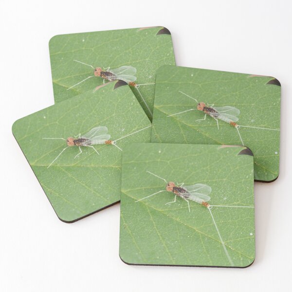 Item preview, Macro photo of adult Diphetor hageni mayfly designed and sold by SDym Photography.