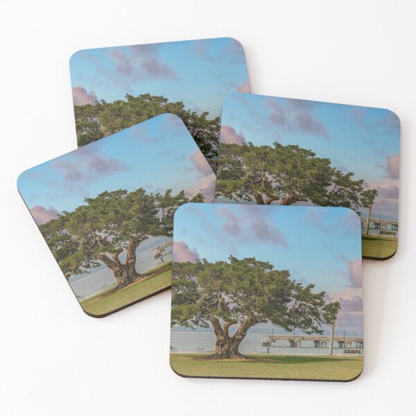 Item preview, Ancient old oak tree by a pier and park designed and sold by dbvirago.
