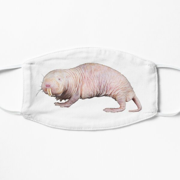 Mole Rat Face Masks Redbubble