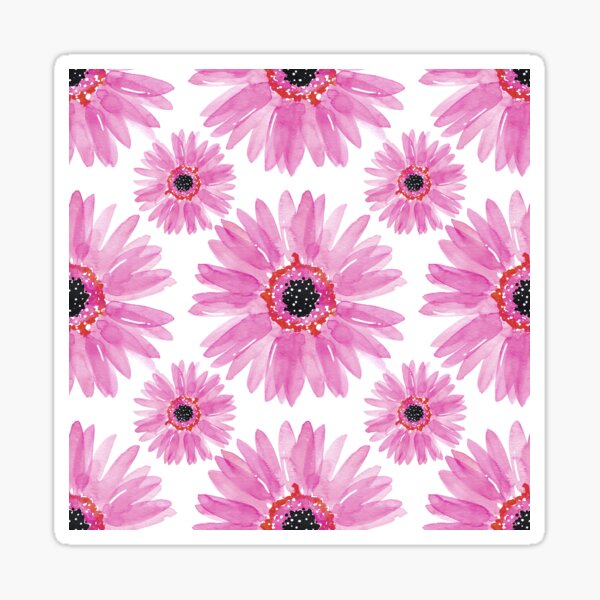 Modern Pink Watercolor Gerbera Daisies Sticker