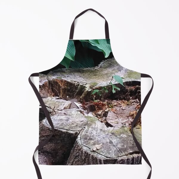Item preview, Tree Stump Photograph Print. designed and sold by marvacousins246.