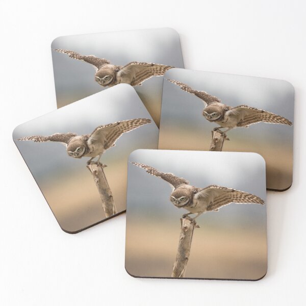 Item preview, Burrowing Owl Ready To Swoop designed and sold by CarolM.