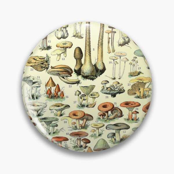 Item preview, Champignons Mushrooms Vintage Botanical Illustration Art  designed and sold by acquiesce13.