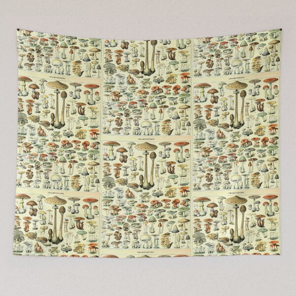 Item preview, Champignons Mushrooms Vintage Botanical Illustration Art  designed and sold by acquiesce13.