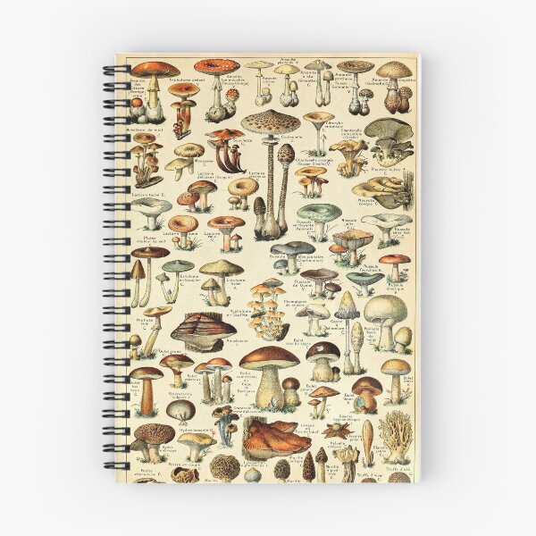 Item preview, Champignons Mushrooms Vintage Botanical Illustration Art  designed and sold by acquiesce13.