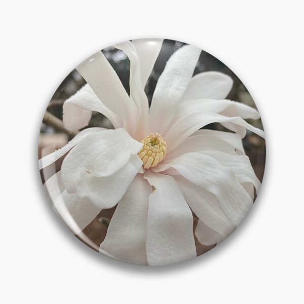 Item preview, Star Magnolia: THE ENDANGERED FLOWER designed and sold by Max Kindly.