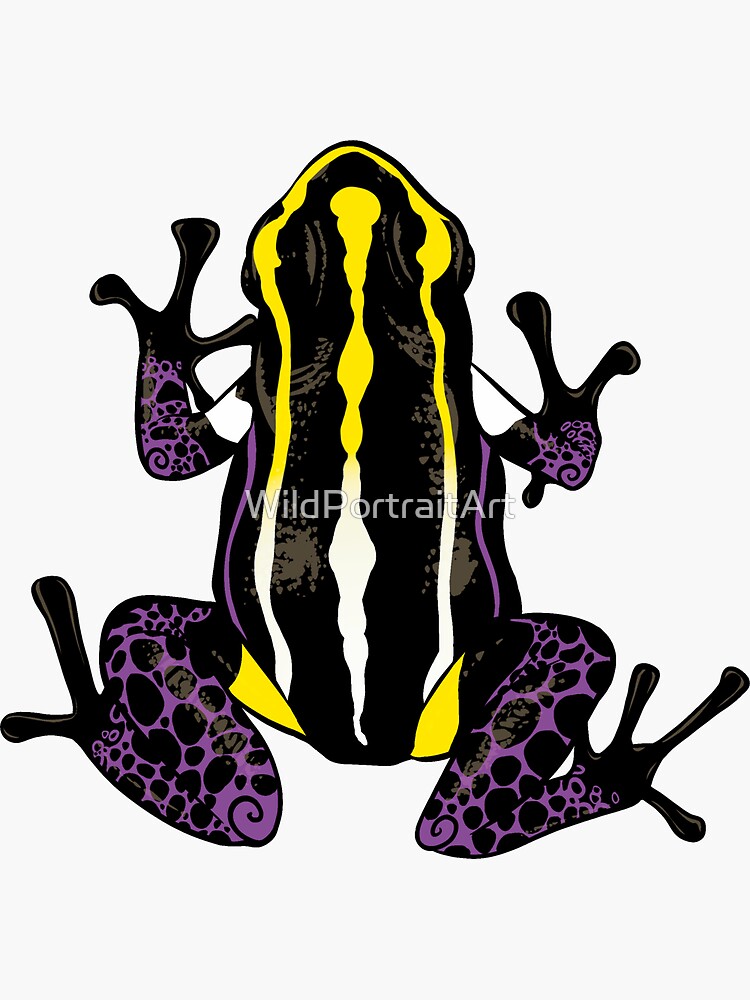 "Non Binary Pride Dart Frog Subtle GSD / LGBTQIA+ pride flag frogs