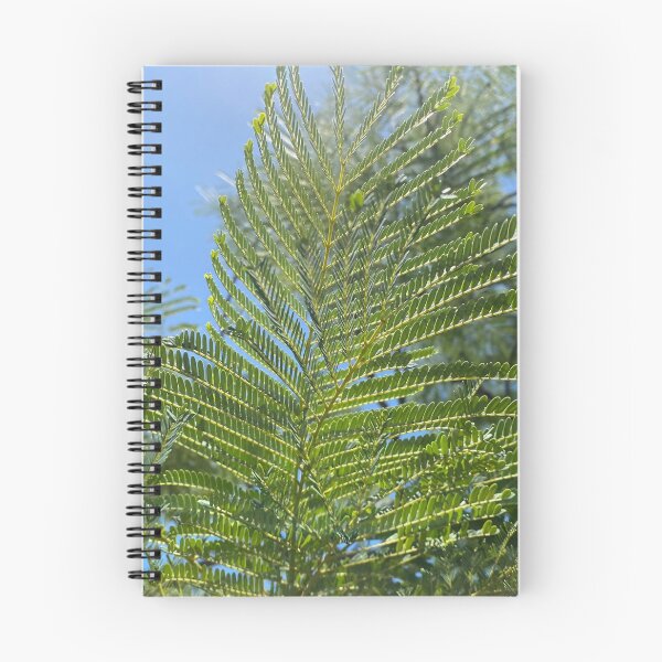 Item preview, Flamboyant Tree Leaves designed and sold by Sinemathk.