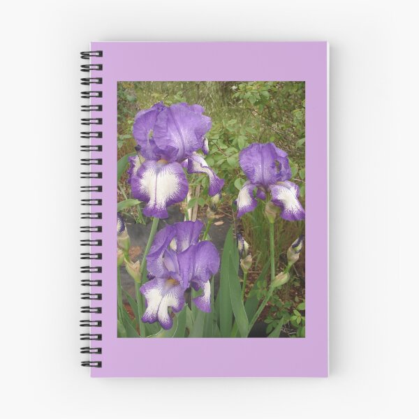 Aperçu de l'œuvre Iris fleur pourpre et blanc créée et vendue par Sarah Rajkotwala.
