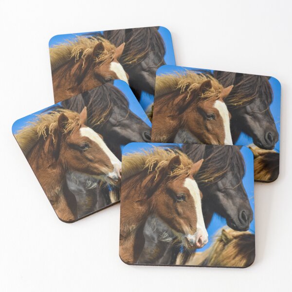 Item preview, Pinto foal Loki designed and sold by Iceland-Effect.