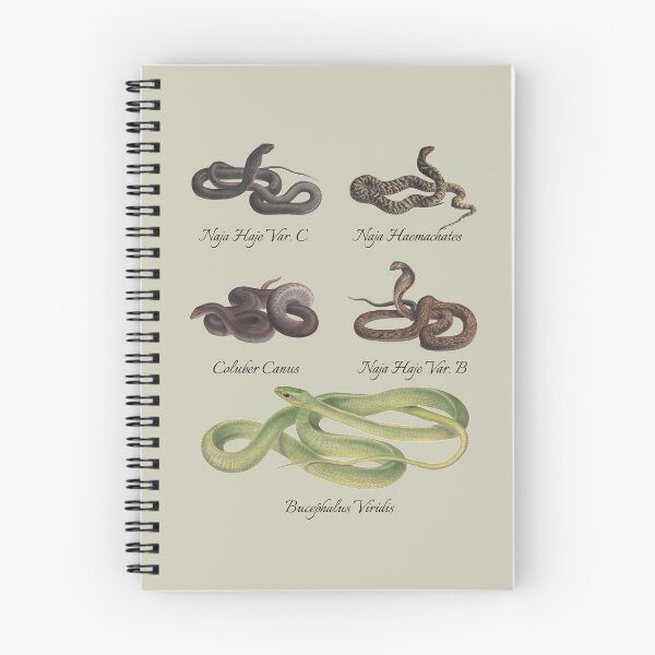 Item preview, Vintage Image of Snakes designed and sold by Crafty-Mornings.