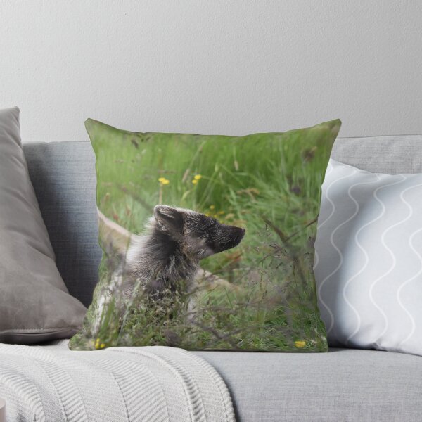 Item preview, Arctic fox enjoying the early morning hours.  designed and sold by Iceland-Effect.