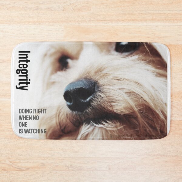 Item preview, Integrity designed and sold by VincentVanCole.