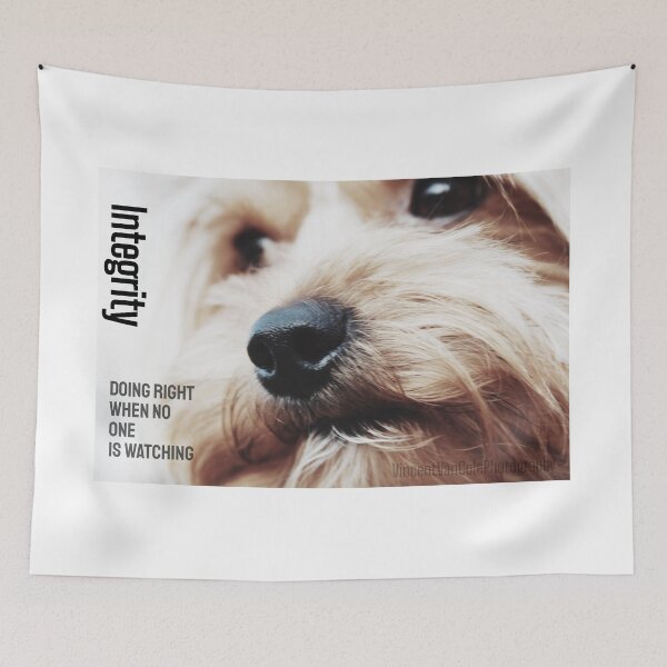 Item preview, Integrity designed and sold by VincentVanCole.