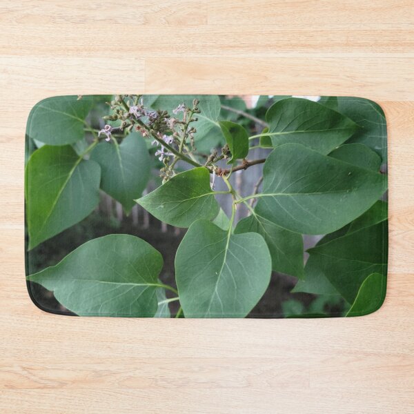Item preview, Spade Leaves designed and sold by Djjin66.