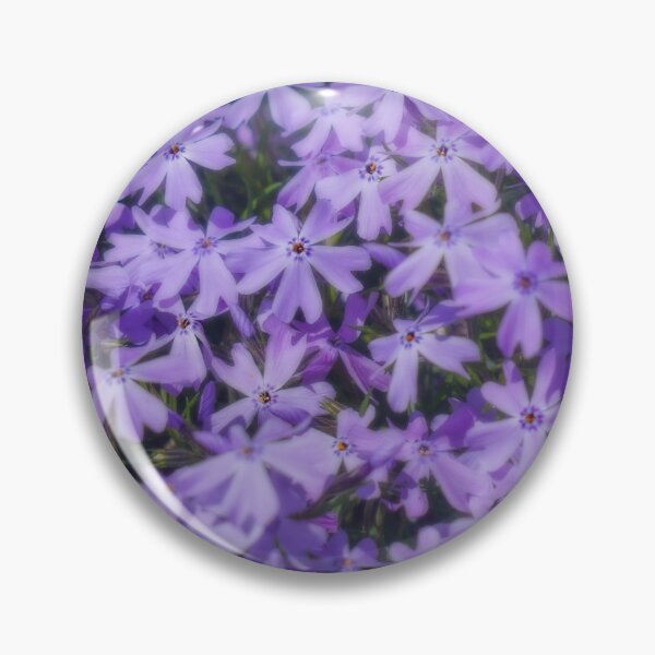 Item preview, Myosotis, Forget-me-not, small blue flowers, Graphic photomontage. square format designed and sold by flariv.