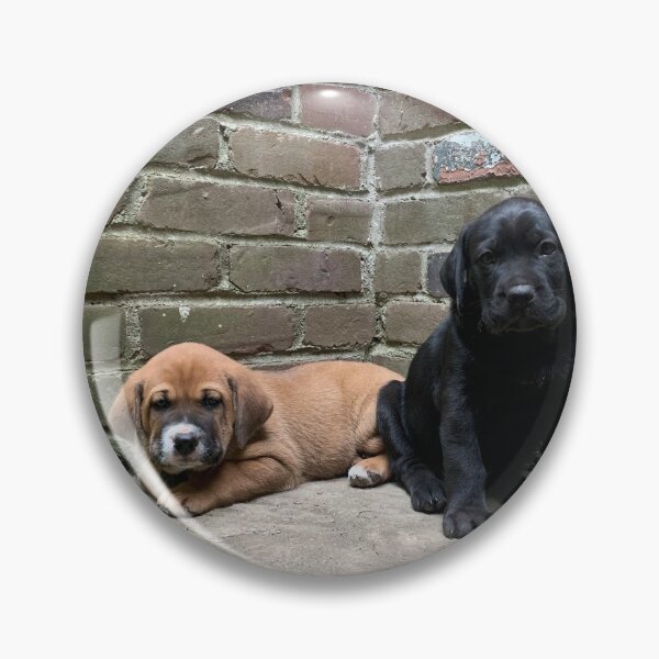 Item preview, Puppies on the Patio designed and sold by rachelhaak.
