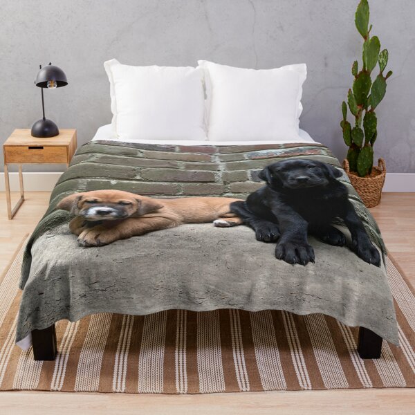 Item preview, Cachorros en el patio designed and sold by rachelhaak.