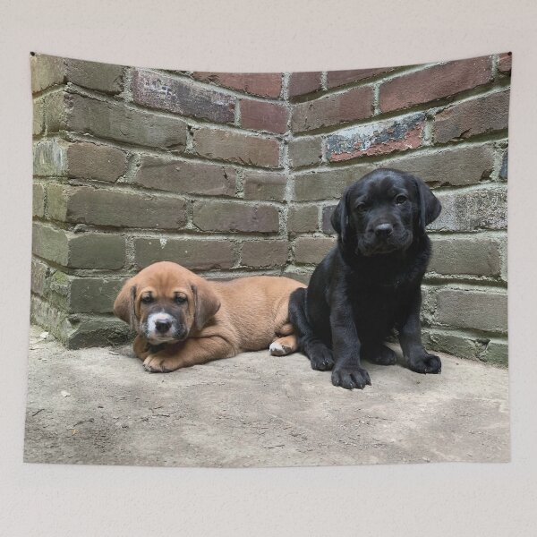 Item preview, Cachorros en el patio designed and sold by rachelhaak.