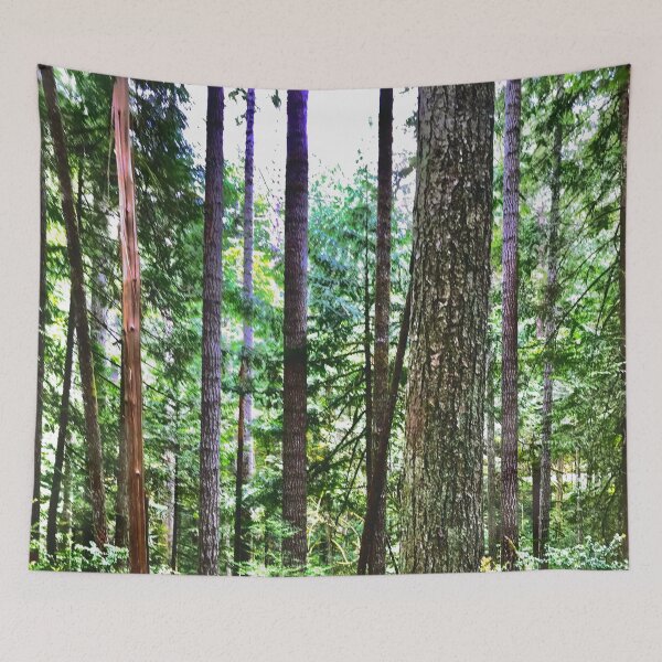 Item preview, Light through the Forest designed and sold by ArtishbyLisa.