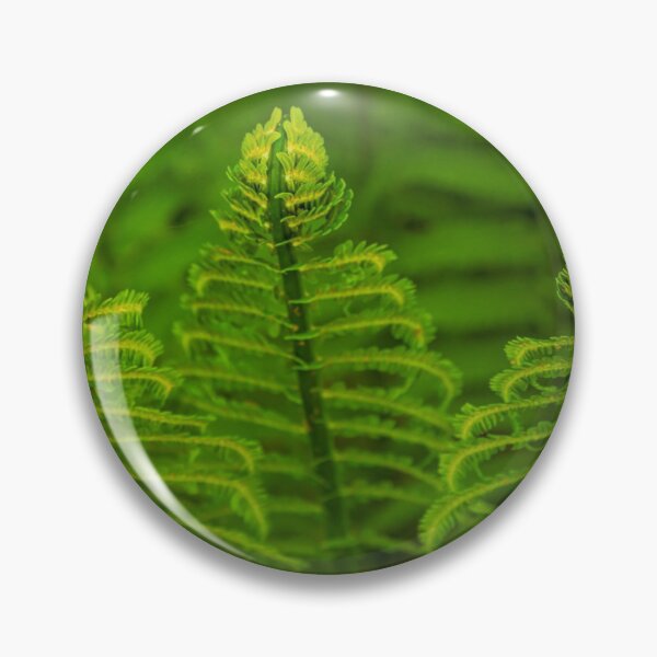 Item preview, New Ferns designed and sold by Veikko  Suikkanen.