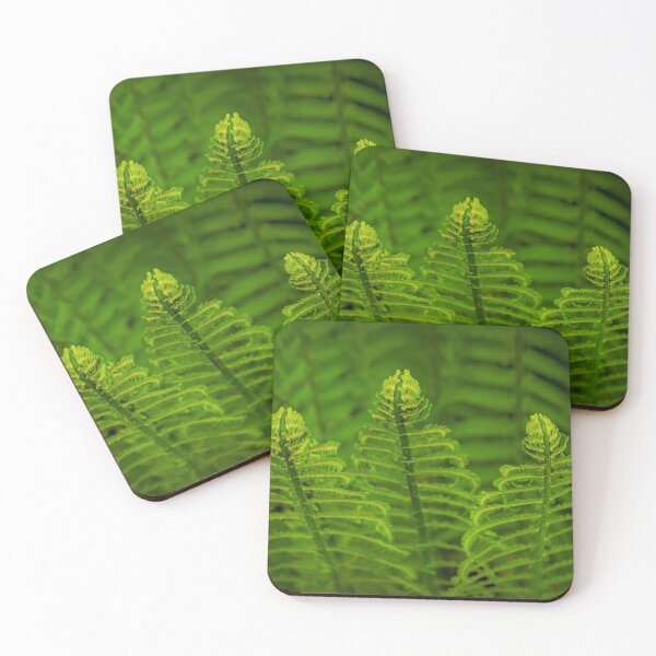 Item preview, New Ferns designed and sold by Veikko  Suikkanen.