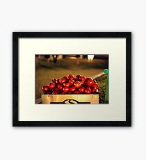 Tomatoes Framed Print