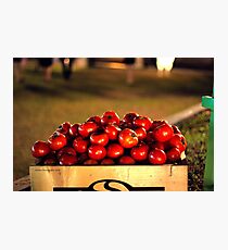Tomatoes Photographic Print