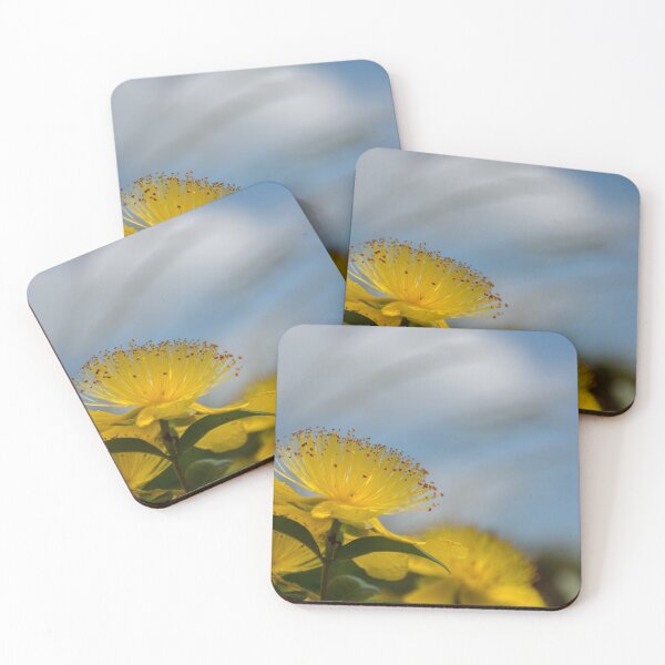 Item preview, Giant St. John's Wort designed and sold by Hilda Rytteke.