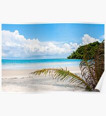 Exotic tropical beach with white sand and blue waters Poster