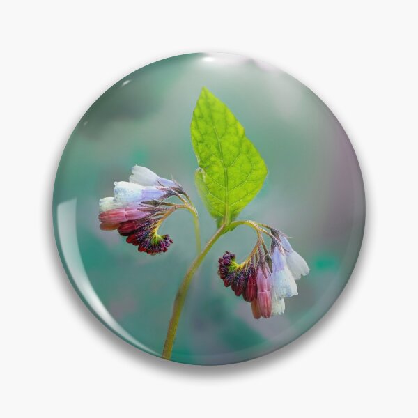 Item preview, Comfrey Flower designed and sold by Alisonchambers2.