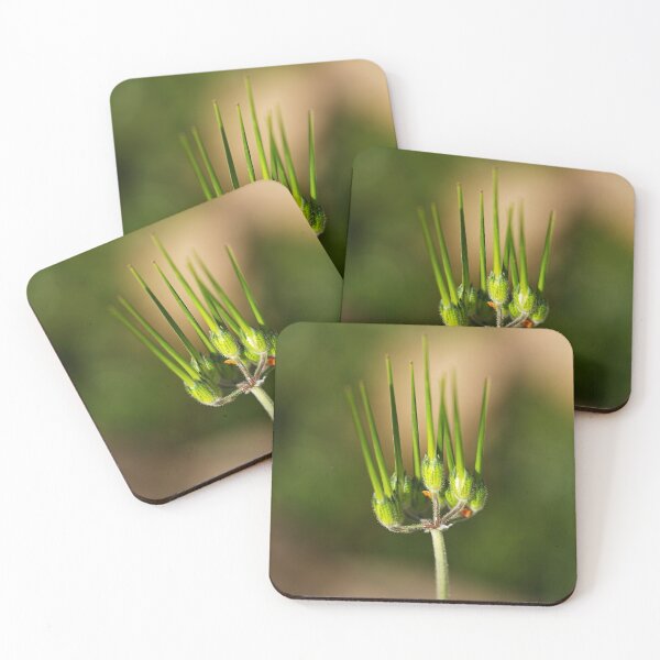 Item preview, Parsley Piert With Buds  designed and sold by Joy Watson - Natural Light Photography .