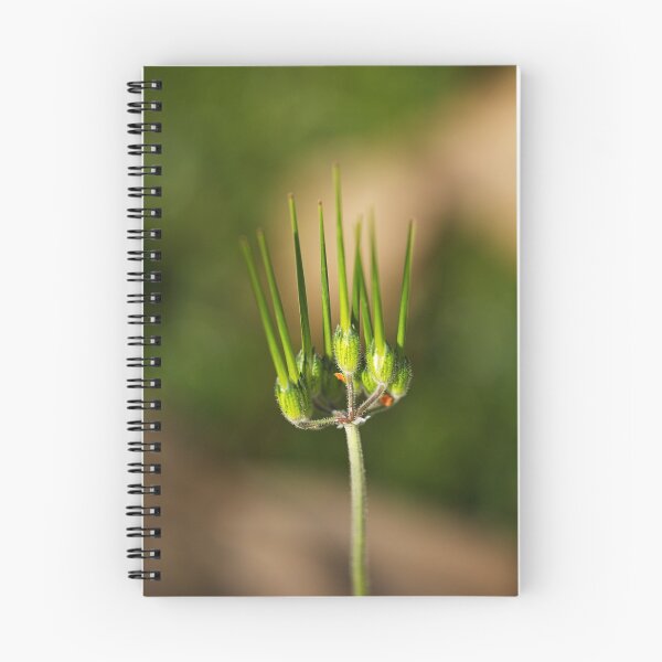 Item preview, Parsley Piert With Buds  designed and sold by Joy Watson - Natural Light Photography .