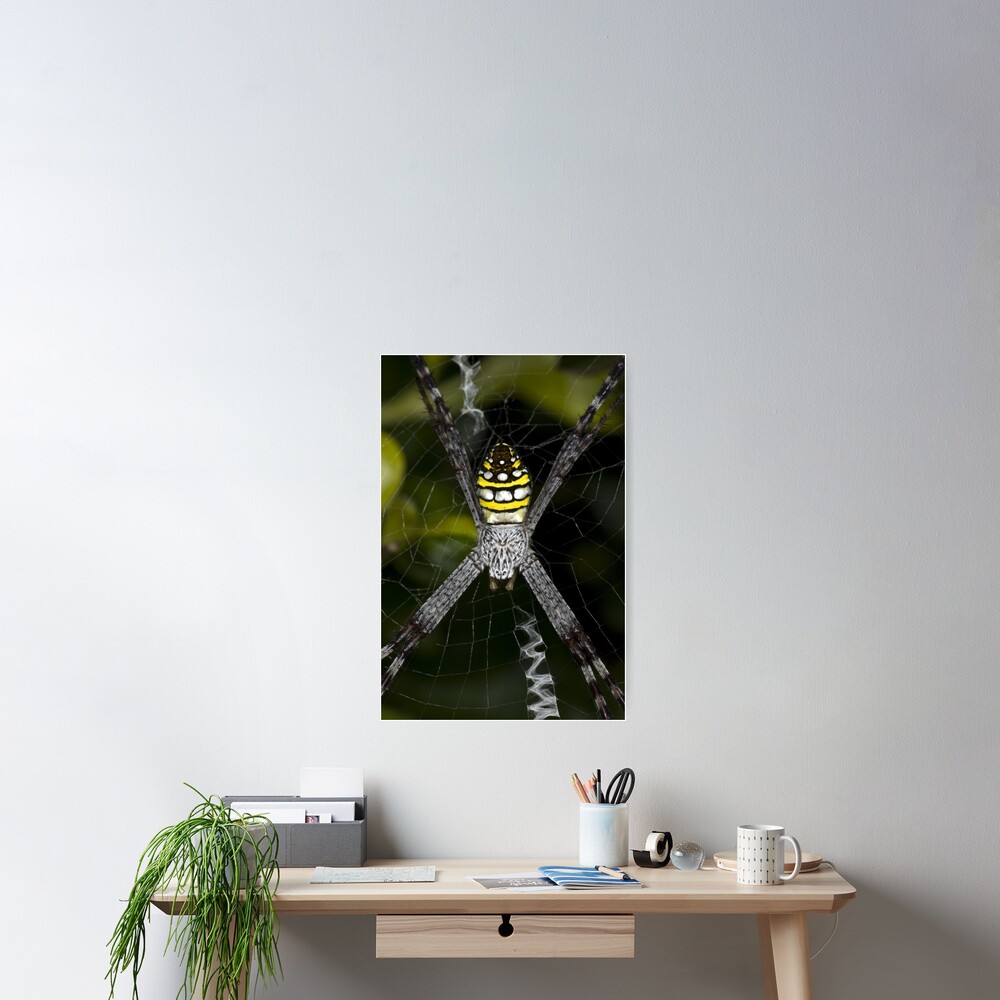 Silver face Poster
