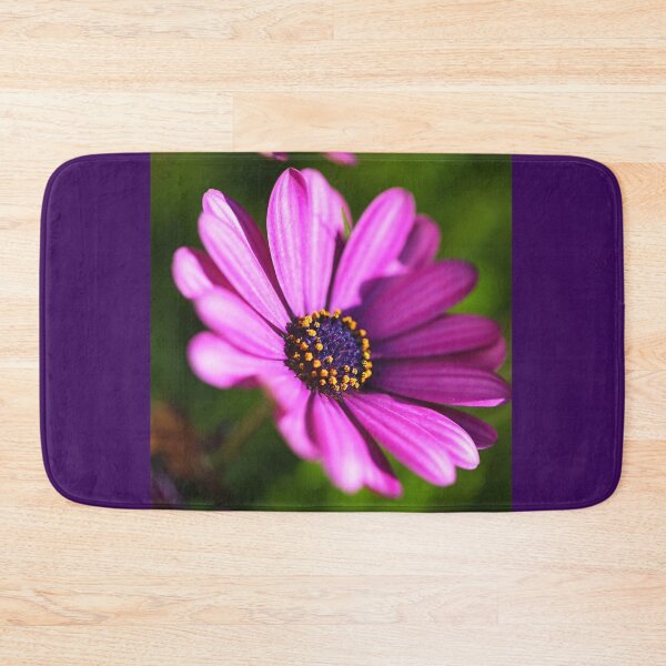 Item preview, Hot Cape Daisies Pink  designed and sold by Joy Watson - Natural Light Photography .