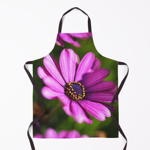 Item preview, Hot Cape Daisies Pink designed and sold by Joy Watson - Natural Light Photography .